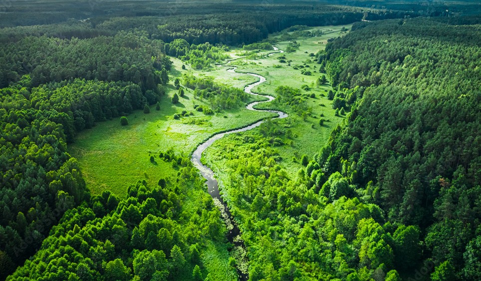 Forestry
